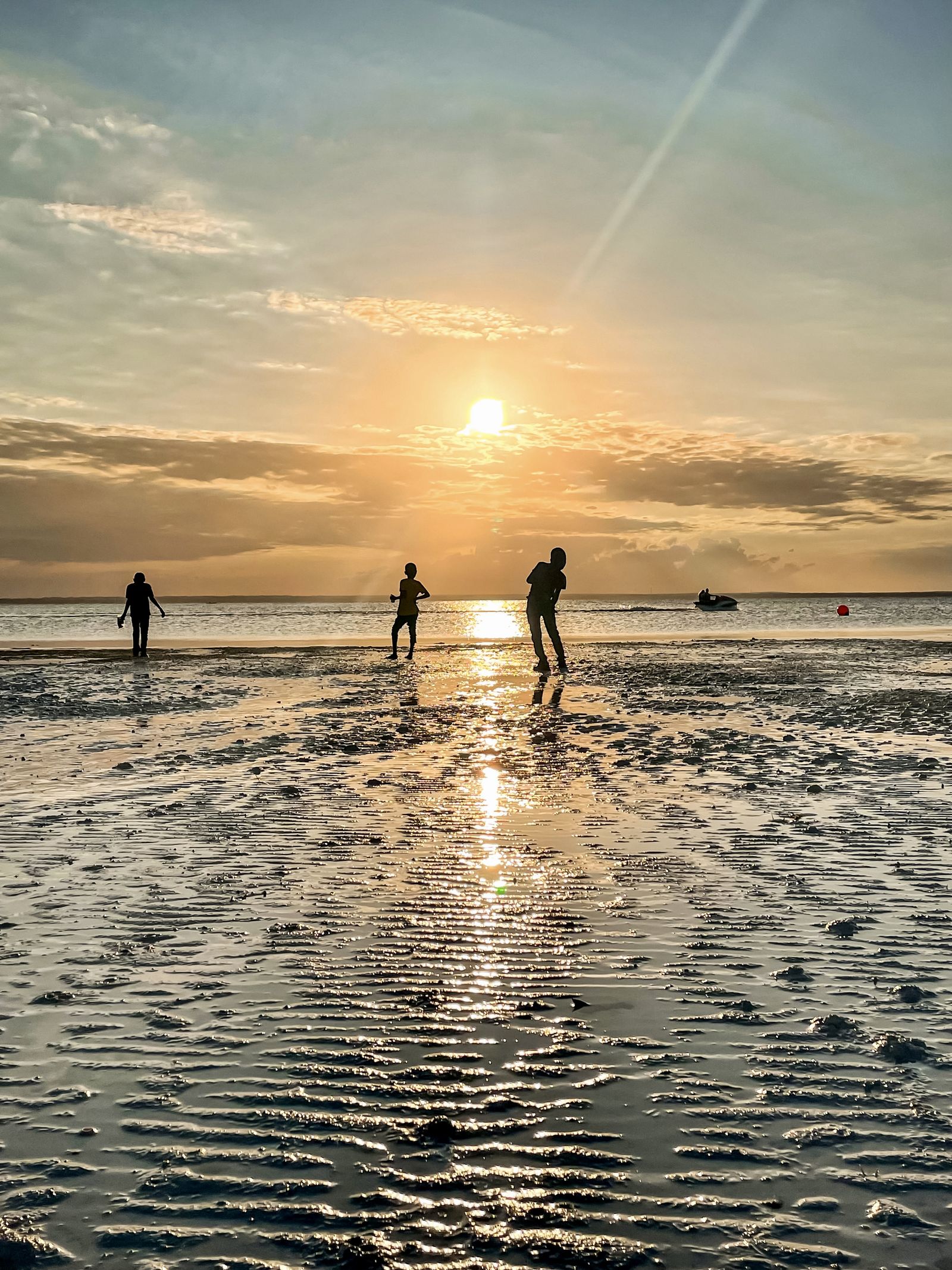 Silhouetted figures on a wet beach at low tide under a golden sunset